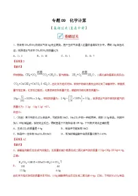 中考化学二轮复习讲义+训练专题09 化学计算（专题训练）（含解析）