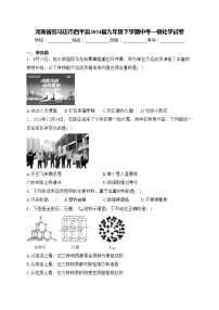 河南省驻马店市西平县2024届九年级下学期中考一模化学试卷(含答案)