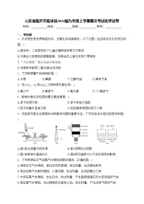 山东省临沂市临沭县2024届九年级上学期期末考试化学试卷(含答案)