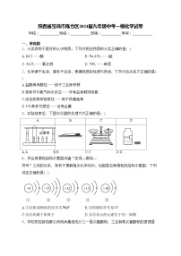陕西省宝鸡市陈仓区2024届九年级中考一模化学试卷(含答案)