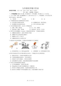 江苏省泰州市靖江市实验学校2023-2024学年九年级下学期3月月度测试化学试卷