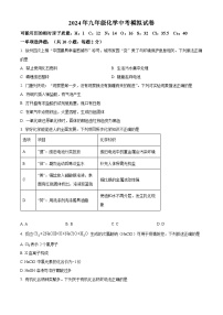 2024年江苏省徐州市沛县第五中学九年级化学中考模拟试题 （原卷版+解析版）