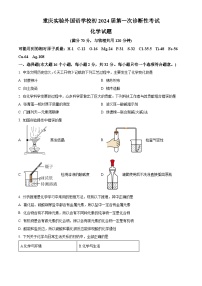 2024年重庆市实验外国语学校九年级下学期一模化学试题（原卷版+解析版）