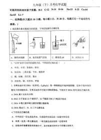 江苏省徐州市沛县第五中学2023-2024学年九年级下学期4月月考化学试题