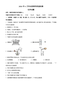 2024年山东省菏泽市九年级一模化学试题（原卷版+解析版）