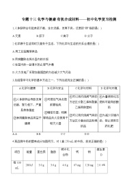 专题十三 化学与健康 有机合成材料——初中化学复习检测