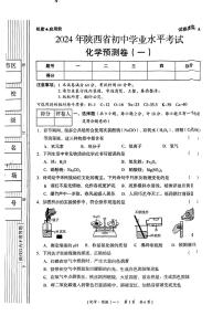 2024年陕西省乾县中考一模考试化学试题