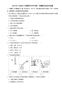 2024年广东省江门市紫茶中学中考第一次模拟考试化学试题