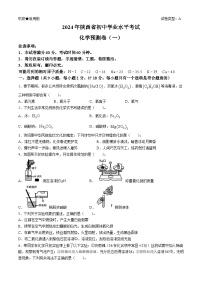 2024年陕西省乾县中考一模考试化学试题(无答案)