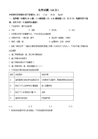 2024年甘肃省陇南市武都区两水镇中考一模化学试题（原卷版+解析版）