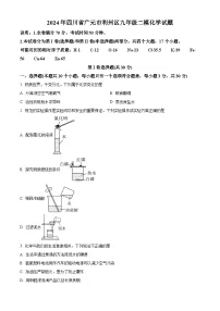 2024年四川省广元市利州区九年级二模化学试题（原卷版+解析版）