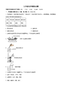 2024年江苏省连云港市海州区中考模拟化学试题 （原卷版+解析版）