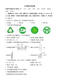 2024年江苏省泰州市靖江外国语学校中考模拟化学试题 （原卷版+解析版）