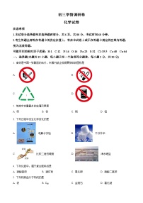 江苏省南京市建邺区金陵中学河西分校2023-2024学年九年级下学期4月月考化学试卷（原卷版+解析版）