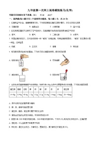 2024年吉林省长春市朝阳区中考一模化学试题（原卷版+解析版）