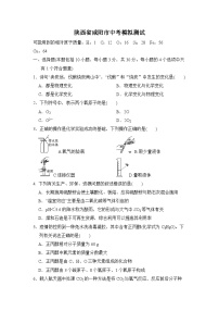 2024年陕西省咸阳市中考化学模拟测试卷