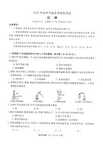 2024年湖南省初中学业水平模拟考试化学试卷+