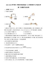 2024年甘肃省武威市凉州区武威第十七中学教研联片九年级二模化学试题（原卷版+解析版）