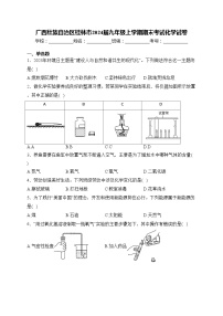 广西壮族自治区桂林市2024届九年级上学期期末考试化学试卷(含答案)