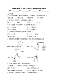 湖南省永州市2024届九年级下学期中考一模化学试卷(含答案)