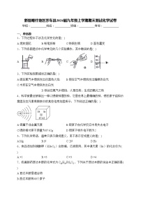 新疆喀什地区莎车县2024届九年级上学期期末测试化学试卷(含答案)