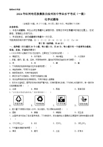 2024年云南省红河州初中学业水平考试模拟化学试卷（一）