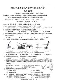 2024年江苏省泰州市兴化市九年级一模化学试题