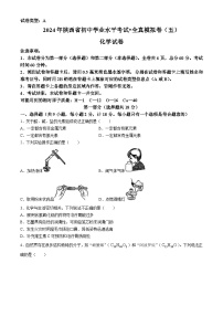 2024年陕西省榆林佳县初中学业水平考试化学全真模拟五