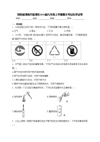 陕西省渭南市临渭区2024届九年级上学期期末考试化学试卷(含答案)