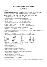 2024年河南省周口市郸城县中考一模化学试题(无答案)