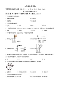 2024年江苏省泰州市靖江市外国语学校中考化学模拟试题  （原卷版+解析版）