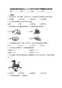吉林省松原市乾安县2022-2023学年九年级下学期期中化学试卷(含答案)