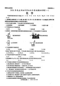 +2024年山东省枣庄市滕州市中考一模化学试题