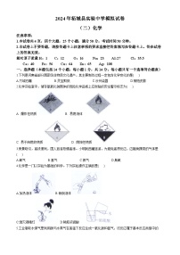 2024年河南省商丘市柘城县实验中学中考二模化学试题