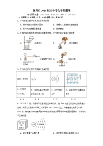 2024年广东省深圳市中考化学押题卷