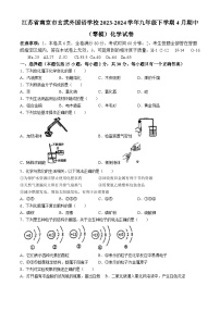 江苏省南京市玄武外国语学校2023-2024学年九年级下学期4月期中（零模）化学试卷(无答案)