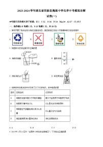 2024年湖北省黄石市阳新县陶港中学中考化学模拟诊断试卷（一）（原卷版+解析版）