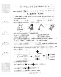 2023年湖北省武汉市中考模拟化学试卷（五）