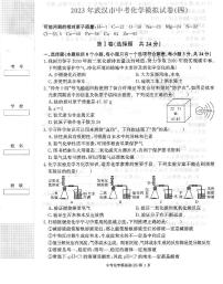 2023年湖北省武汉市中考模拟化学试卷（四）