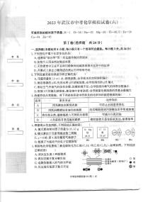 2023年湖北省武汉市中考模拟化学试卷（六）