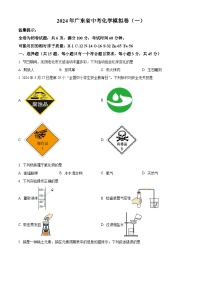 广东省湛江市廉江市第七中学2023-2024学年九年级下学期4月月考化学试题（原卷版+解析版）