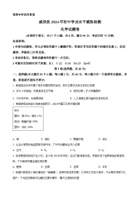 2024年云南省昭通市威信县初中学业水平模拟监测化学试题（原卷版+解析版）