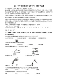 2024年广东省潮州市化学中考一模化学试题+