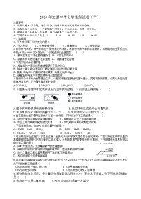 2024年安徽中考模拟化学试卷（六）