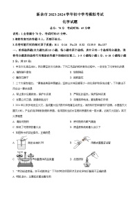 2024年江西省新余市中考化学模拟考试（原卷版+解析版）