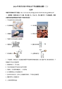 2024年山东省枣庄市初中学业水平考试模拟试题（二）化学试卷（原卷版+解析版）