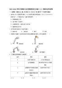 2023-2024学年甘肃省天水市秦安县九年级（上）期末化学试卷