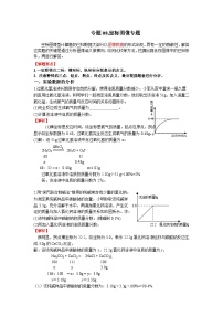 人教版 初中化学 专题08.坐标图像专题（含解析）