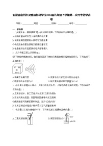 安徽省宿州市灵璧县部分学校2024届九年级下学期第一次月考化学试卷(含答案)