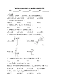 广西壮族自治区桂林市2023届中考一模化学试卷(含答案)